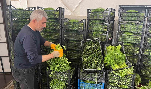 Enflasyonda düşüşe 'yeşillik' desteği