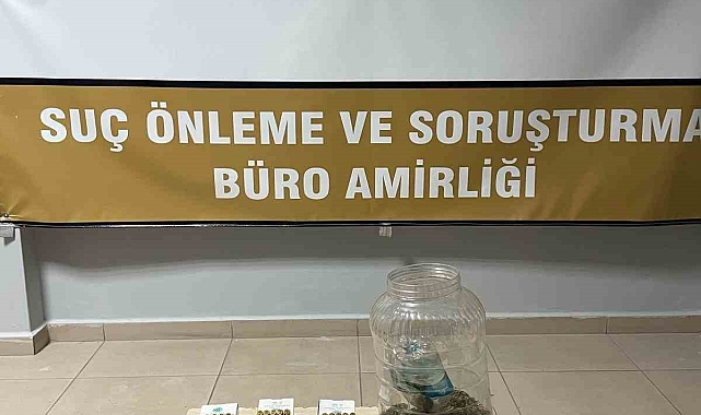 Evinde Hint keneviri yetiştirdiği tespit edilen şahıs gözaltına alındı