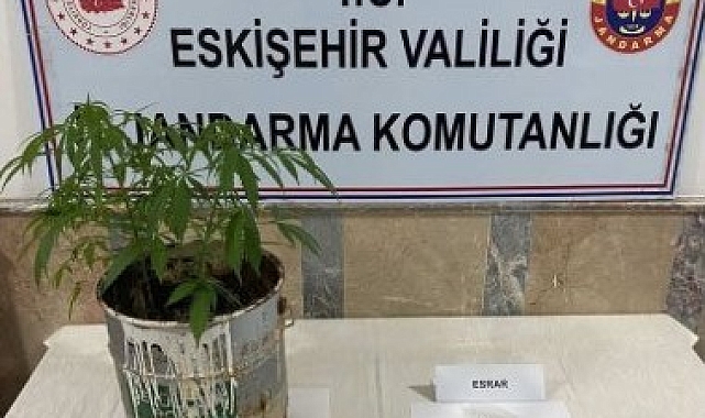 Polis ve jandarma ekiplerinden uyuşturucu operasyonu