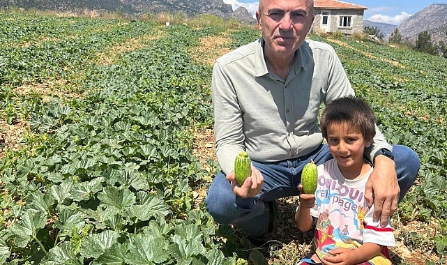 Karaman'da Hasat Sezonu Başladı: Çiftçiler Ekonomiye Katkı Sağlıyor