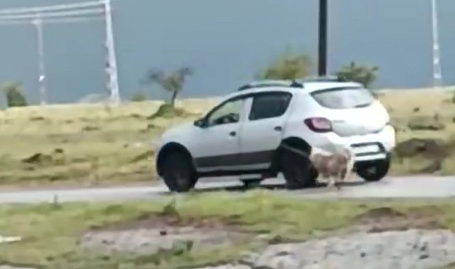 Köpeği otomobile iple bağlayıp sürükledi