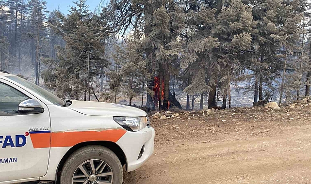Karaman'da çıkan orman yangını kontrol altına alındı