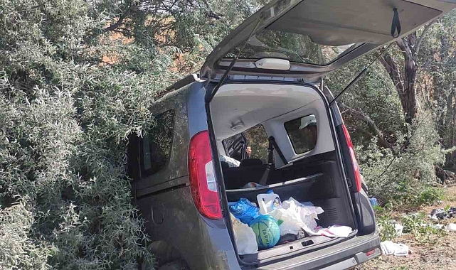 Konya'da hafif ticari araç ağaçlara çarptı: 4 yaralı