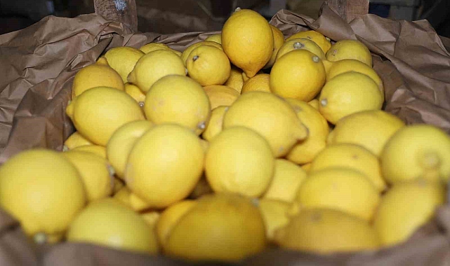 Kapadokya bölgesindeki limon depoları denetleniyor