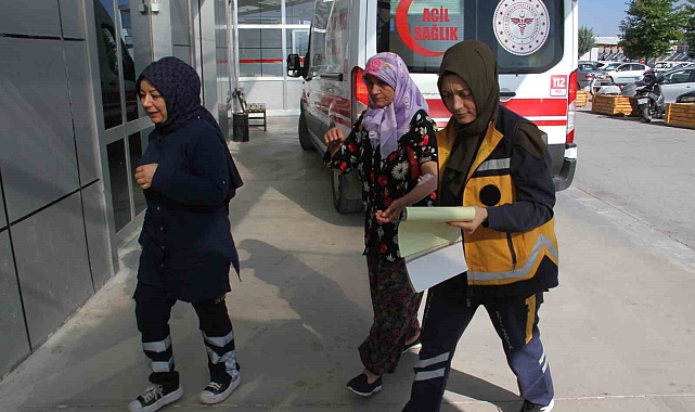 Konya'da köpeğin saldırdığı kadın yaralandı