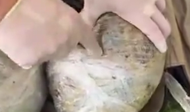 Trende uyuşturucu taşıyan şahıs yakalandı