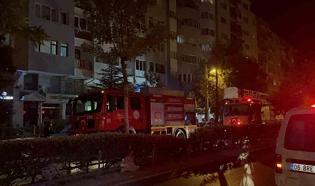 Çıkan yangında dairede bulunan 2 kedi tüm çabalara rağmen kurtarılamadı