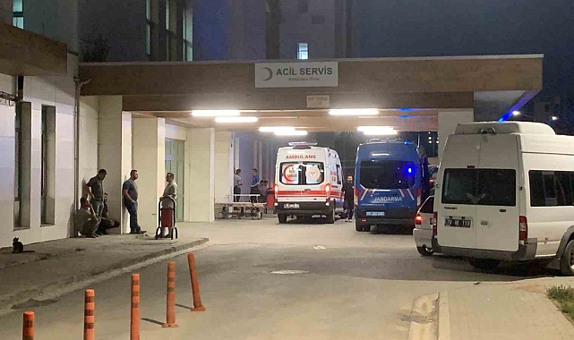 Karaman'da çoban köpeğinin saldırdığı 8 yaşındaki çocuk yaralandı