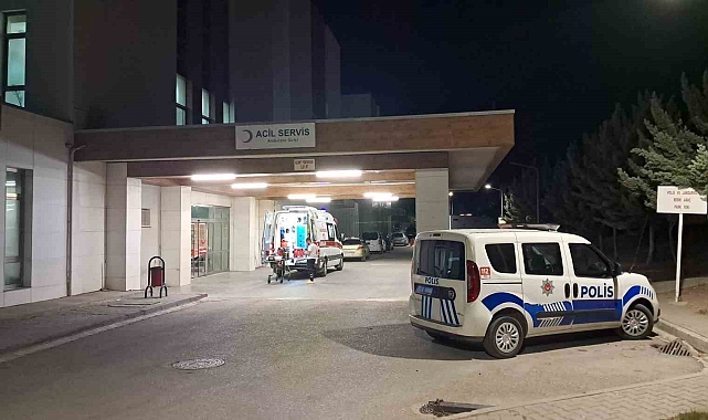 Karaman'da mera kavgası: 1 yaralı
