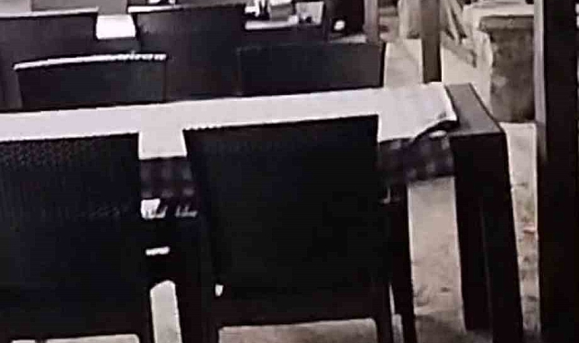 Aç ayı restoran bahçesinde yemek ararken görüntülendi