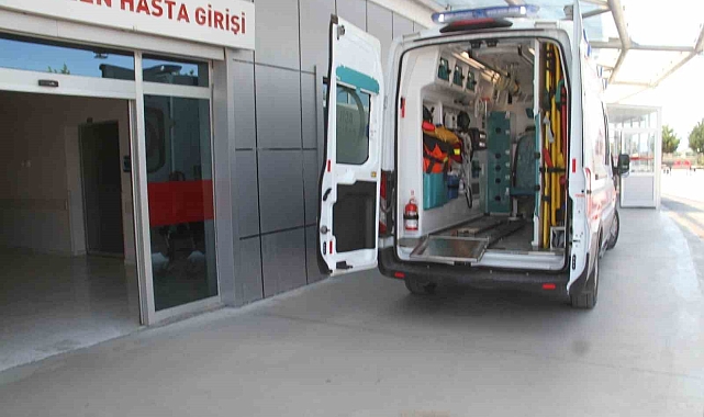 Ceviz toplamak için çıktığı ağaçtan düşerek yaralandı