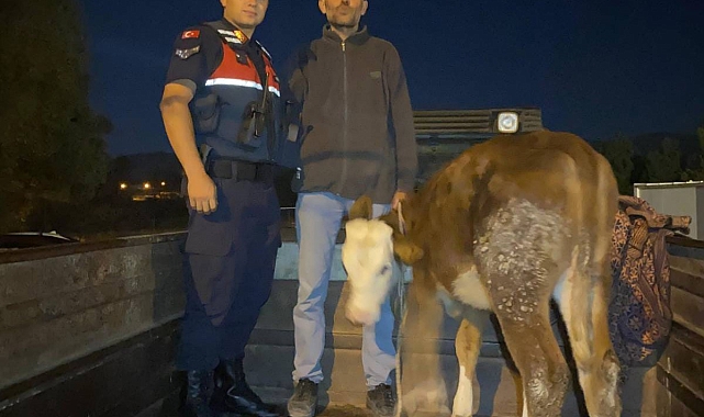 Kayseri'de çalındı, Kahramanmaraş'ta bulundu