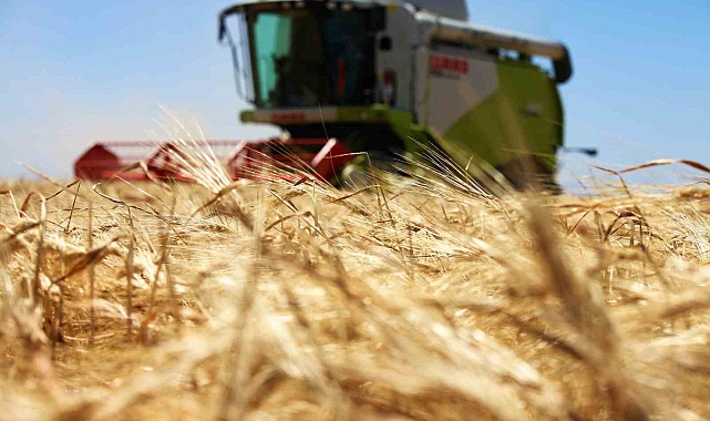 Tarım başkenti Konya, 11 üründe üretim miktarı olarak Türkiye'de birinci