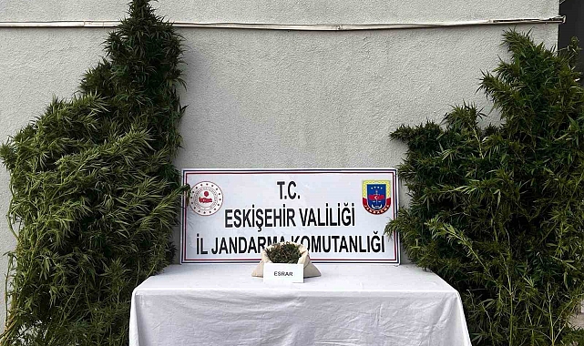 Uyuşturucu imal edip ticaretini yaptığı belirlenen şüpheli yakalandı