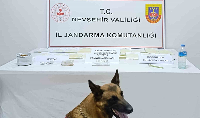Uyuşturucu taciri tutuklandı