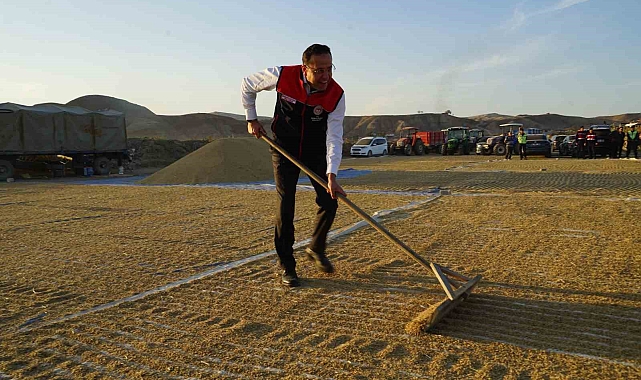 Bakan Yardımcısı Gizligider Çankırı'da çeltik hasadına katıldı