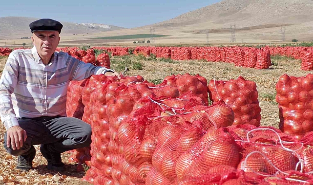Karaman'da kuru soğan üreticisinin yüzünü güldürüyor