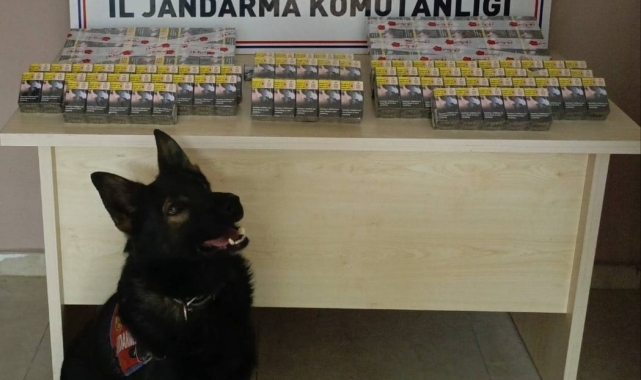 Kontrol için durdurulan kamyonda kaçak sigara yakalandı
