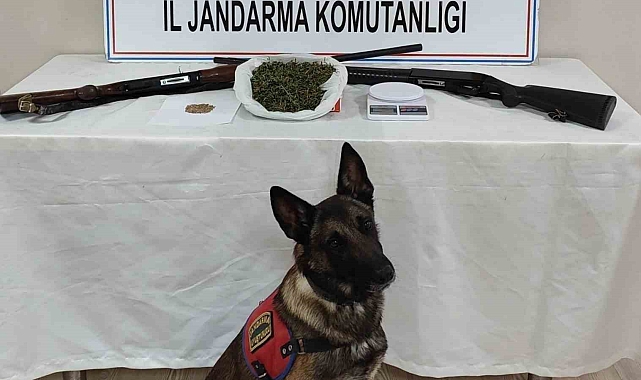 Konya'da jandarma ekiplerinden uyuşturucu operasyonu