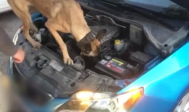 Narkotik Arama Köpeği 'Eta' tacirlere geçit vermedi: 2 gözaltı