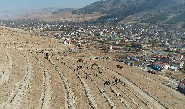 Yahyalı'da binlerce fidan toprakla buluştu