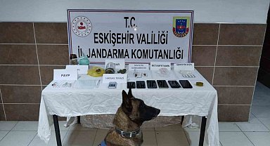 Jandarmadan 2 ilçede uyuşturucu operasyonu