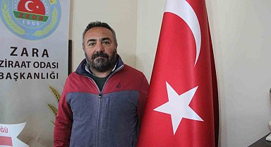 Muhtarın ölümüne neden olan ayı telef edildi