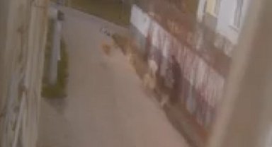 Sokak köpeklerinin saldırısında kendini ceketiyle korudu