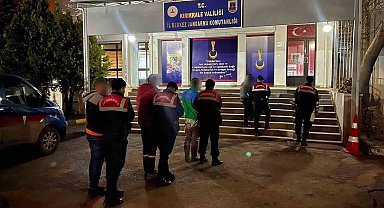 Kırıkkale'de büyükbaş hayvan çalan 4 hırsızlık zanlısı tutuklandı