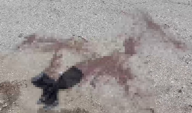 Komşu iki esnaf sopalar ile birbirine girdi: 7 yaralı