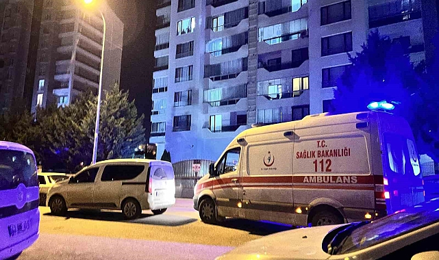 Silahını temizlerken eşini vurdu, üvey oğlu ise adamı darp etti