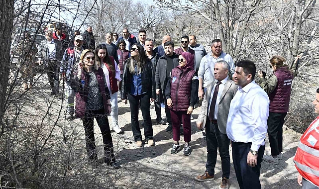 Yabani sakız ağaçları, Ankara fıstığı olacak