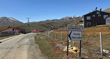 72 yaşındaki adamın ölümüne neden olan köpekler sahipli çıktı