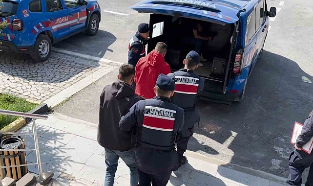 Aksaray'da küçükbaş hayvan hırsızlığına 1 tutuklama