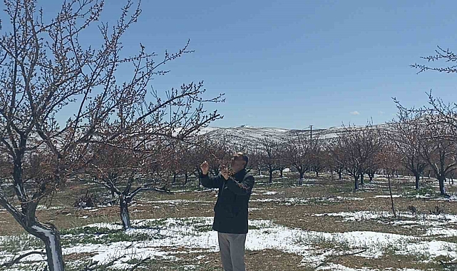 Don kayısıyı vurdu