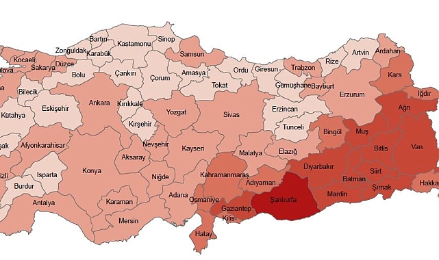 Eskişehir'deki çocuk nüfusu ülke ortalamasının altında