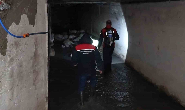 Kırıkkale'de "koku" faciası: 23 küçükbaş hayvan telef oldu, 77'si son anda kurtarıldı