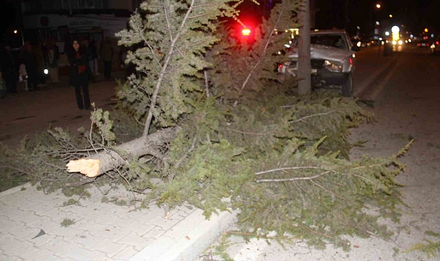 Konya'da otomobil refüjdeki ağaca çarptı: 6 yaralı