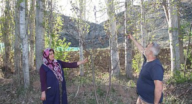 Meyve ağaçları zirai dondan etkilenen çiftçiler, hububattan umutlu