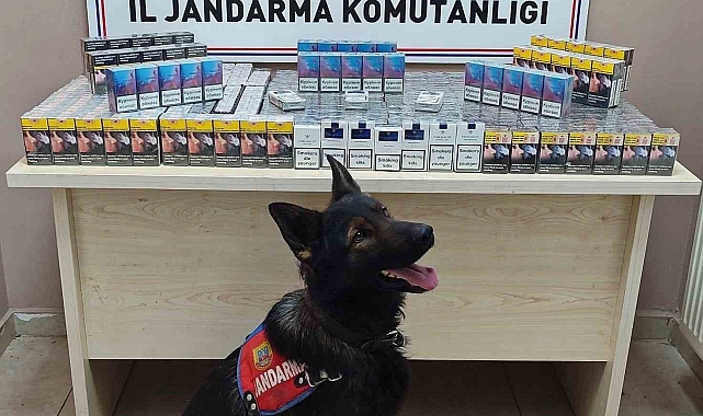 Sigara kaçakçıları jandarmadan kaçamadı