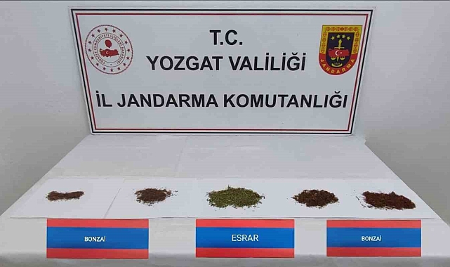 Şüpheli araçta bonzai ve esrar yakalandı