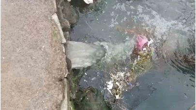 Marmara Denizi’nde kirliliğe neden olan Çınarcık Belediyesi’ne 1,3 milyon lira ceza