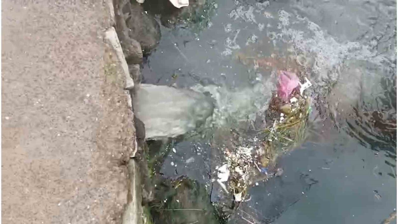 Marmara Denizi’nde kirliliğe neden olan Çınarcık Belediyesi’ne 1,3 milyon lira ceza