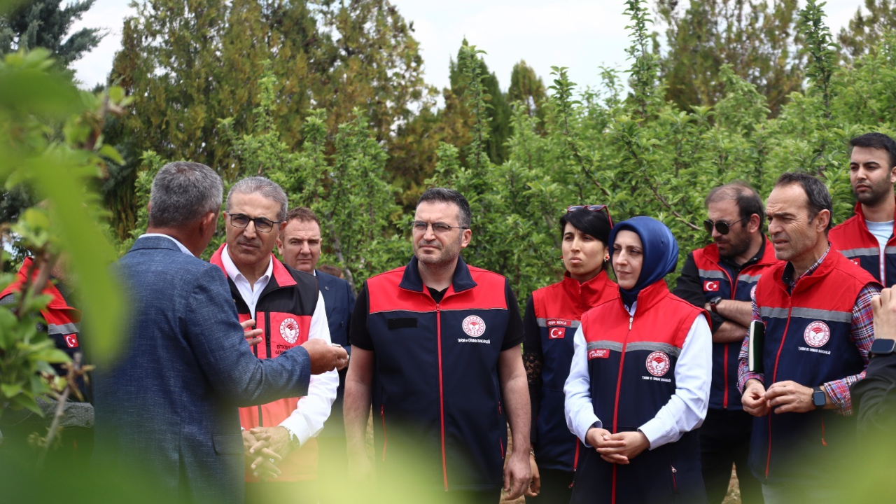 Karaman’da Zirai Don Zararına Karşı Yol Haritası Belirlendi