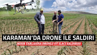 Karaman'da Mısır tarlasına dronlu ot ilacı saldırısı