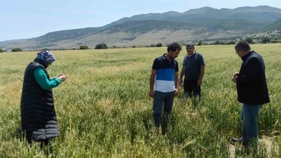 Karapınar’da dolu ve sel felaketinde etkilenen bölgelerde incelemelerde bulunuldu