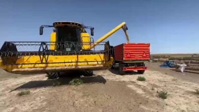 Kuraklık Vurdu: Konya Kulu'da Arpa Hasadı 3 Hafta Önceye Çekildi, Verim Beşte Birine Düştü!