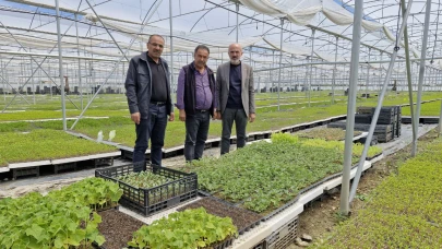 Karamanlı Çiftçiden Dev Hamle: 5 Bin Metrekare Serada 5 Milyon Fide Üretimi!