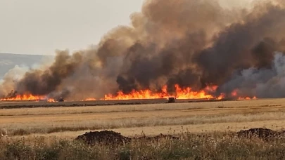 Gaziantep Araban Ovası'nda 2 Bin Dönüm Ekili Alan Yandı, 20 Keçi Telef Oldu