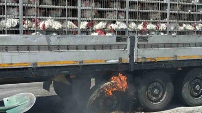 Canlı Tavuk Dolu Tırın Lastik Yangını Paniğe Neden Oldu